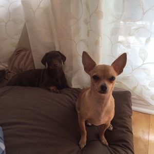 Meet your Posher, Linds